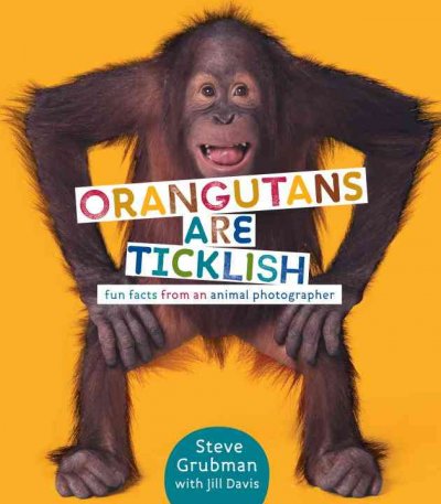 Orangutans are ticklish : fun facts from an animal photographer / Steve Grubman with Jill Davis.