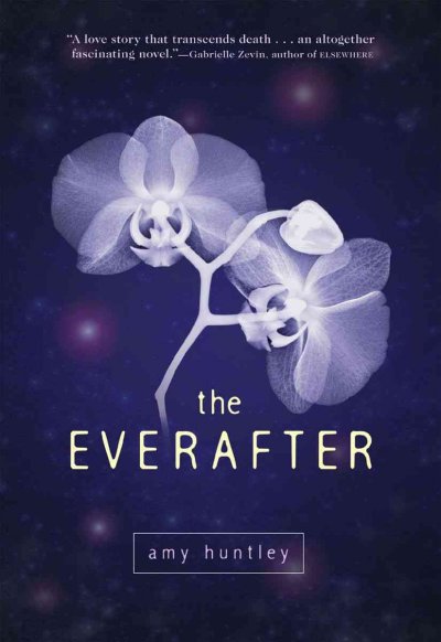 The everafter [electronic resource] / Amy Huntley.