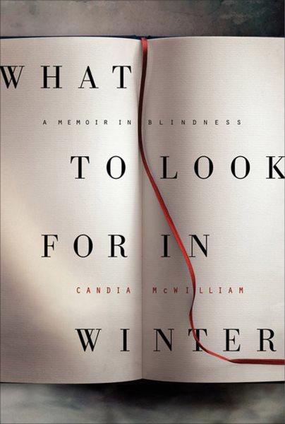 What to look for in winter [electronic resource] : a memoir in blindness / Candia McWilliam.