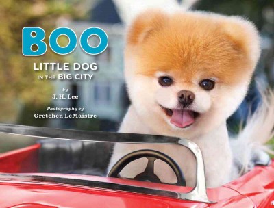 Boo [electronic resource] : little dog in the big city / by J.H. Lee ; photography by Gretchen LeMaistre.