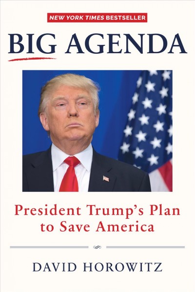 Big agenda : President Trump's plan to save America / David Horowitz.