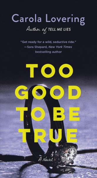 Too good to be true [electronic resource] : a novel / Carola Lovering.