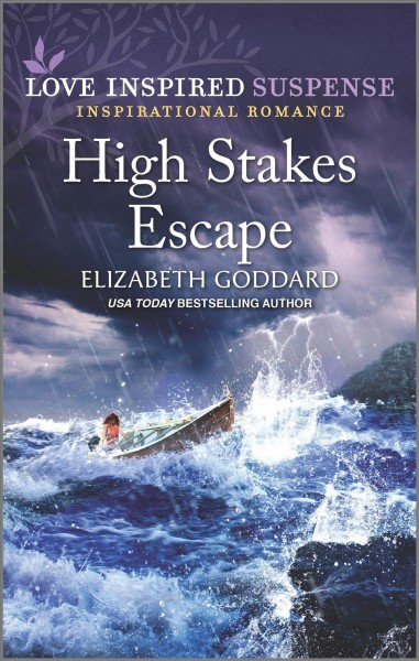 High stakes escape / Elizabeth Goddard.