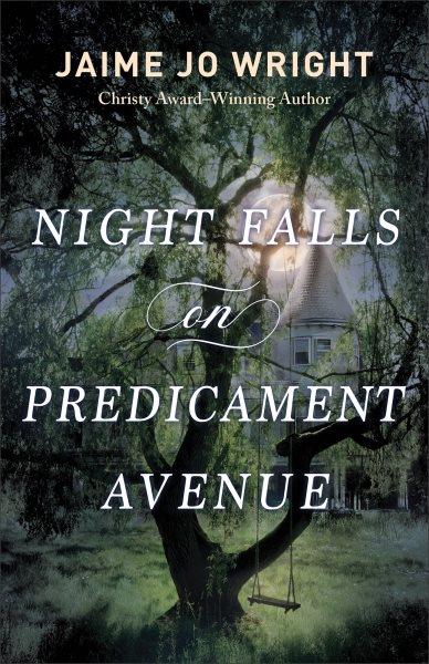 Night falls on Predicament Avenue / Jaime Jo Wright.