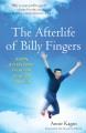 The afterlife of Billy Fingers how my bad-boy brother proved to me there's life after death  Cover Image