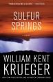 Sulfur Springs  Cover Image