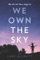We own the sky : a novel  Cover Image