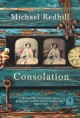 Go to record Consolation : a novel