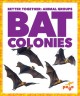 Bat colonies  Cover Image