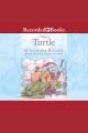 The turtle Lighthouse family series, book 4. Cover Image