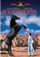 The black stallion returns Cover Image